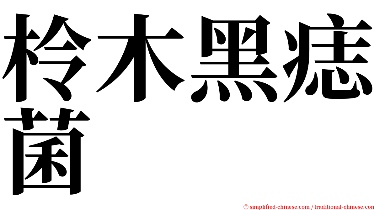 柃木黑痣菌 serif font