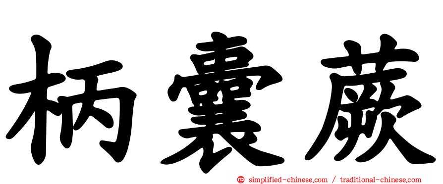 柄囊蕨