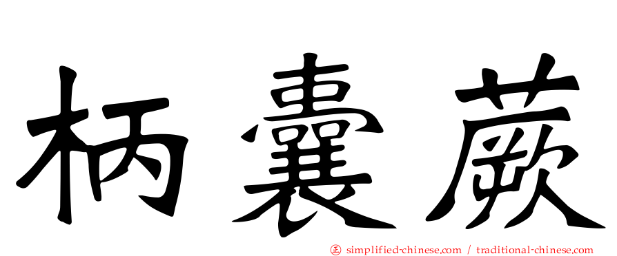 柄囊蕨