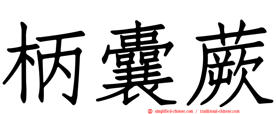 柄囊蕨