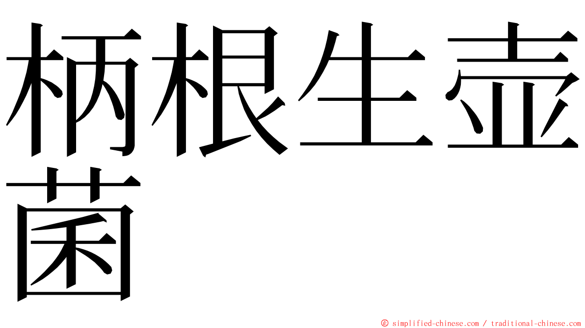 柄根生壶菌 ming font