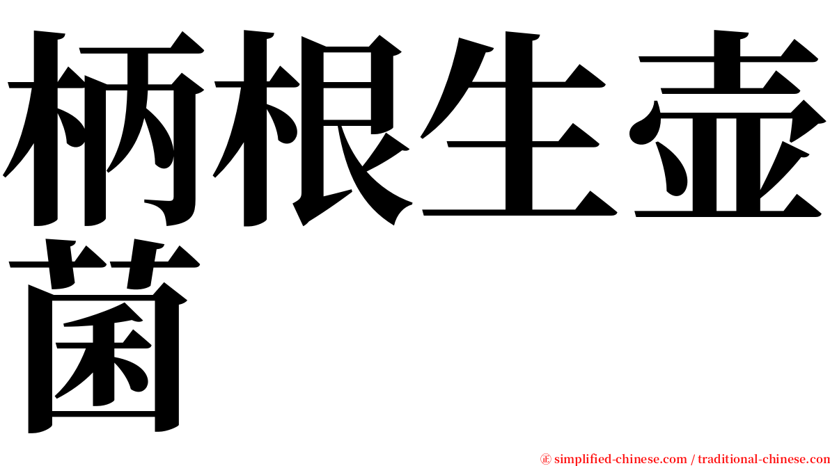 柄根生壶菌 serif font