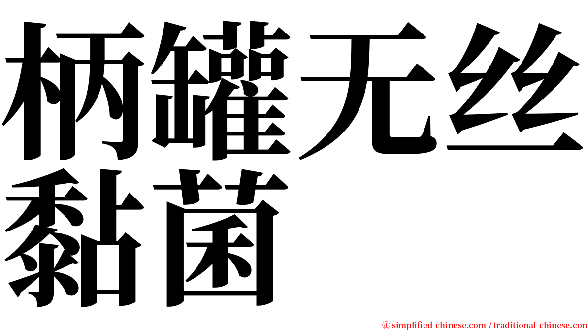 柄罐无丝黏菌 serif font