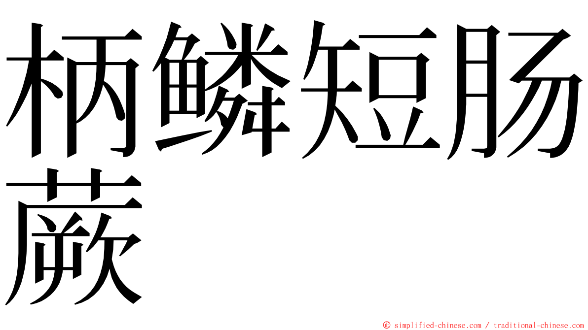 柄鳞短肠蕨 ming font