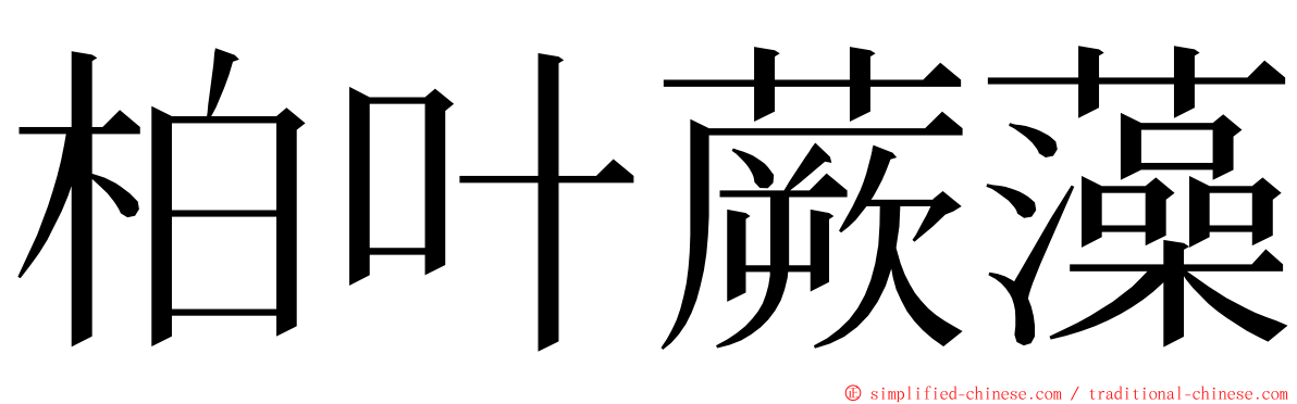 柏叶蕨藻 ming font