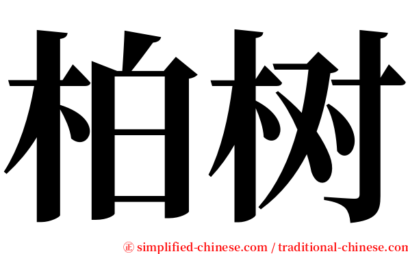 柏树 serif font