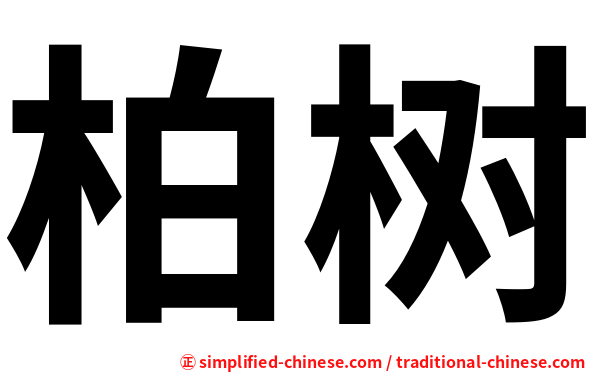 柏树