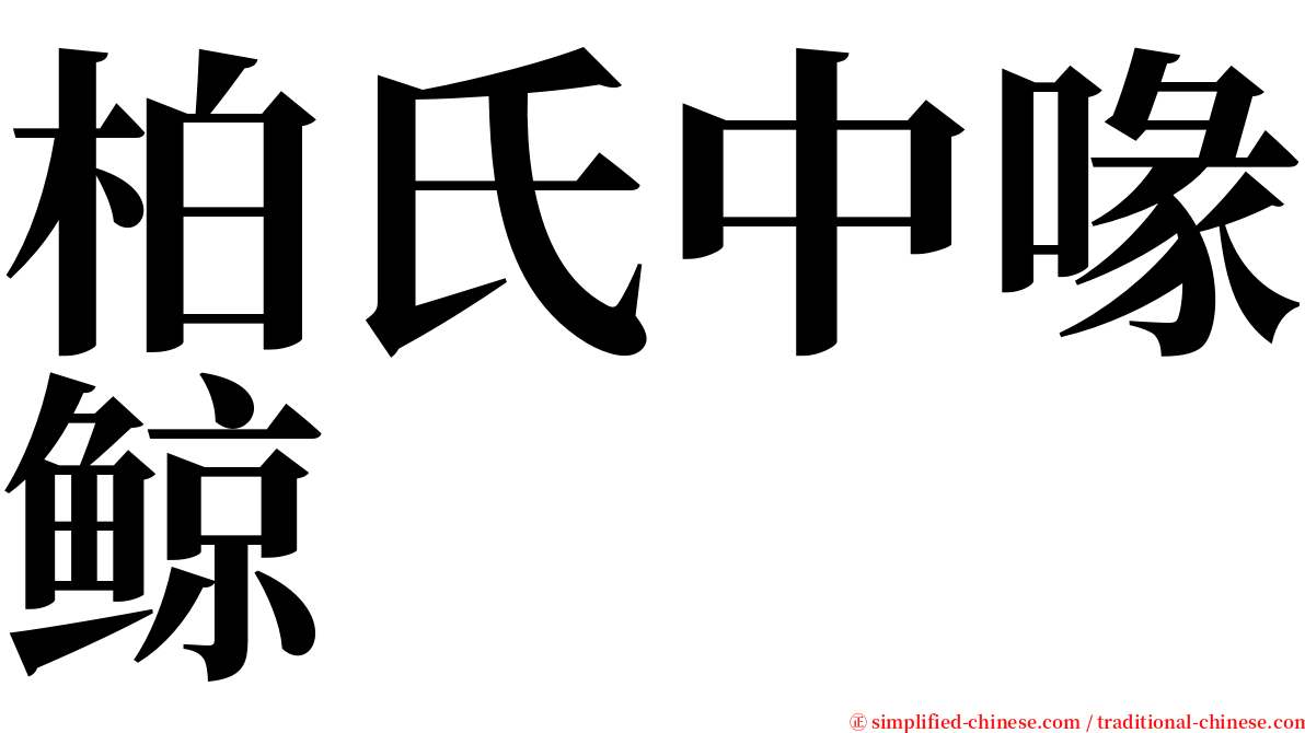 柏氏中喙鲸 serif font