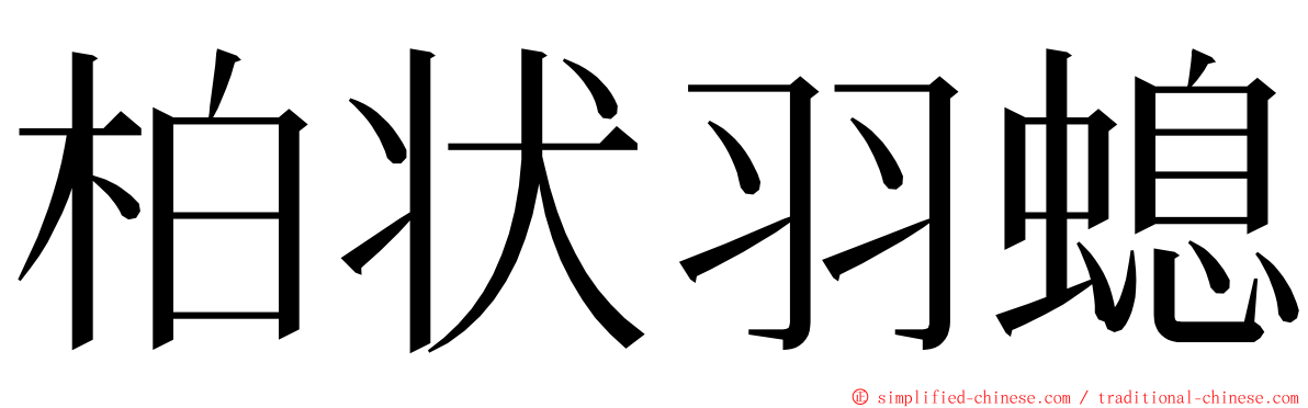 柏状羽螅 ming font
