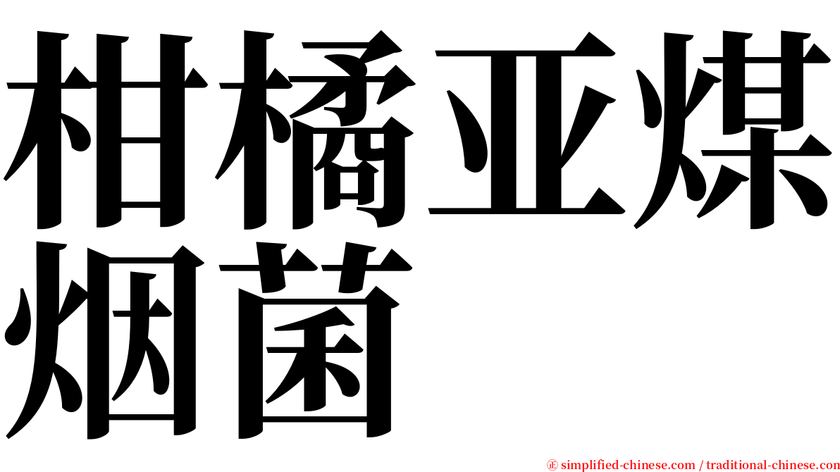 柑橘亚煤烟菌 serif font