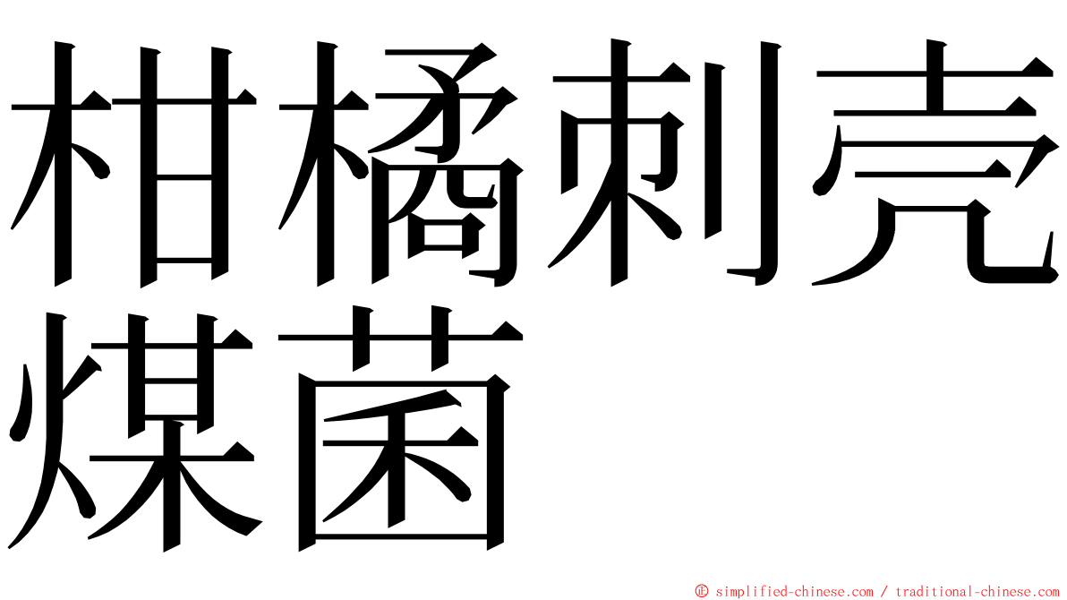 柑橘刺壳煤菌 ming font