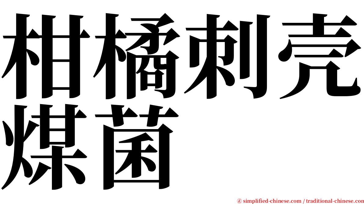 柑橘刺壳煤菌 serif font