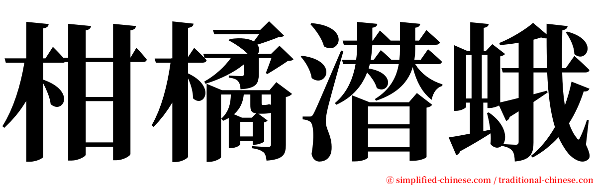 柑橘潜蛾 serif font