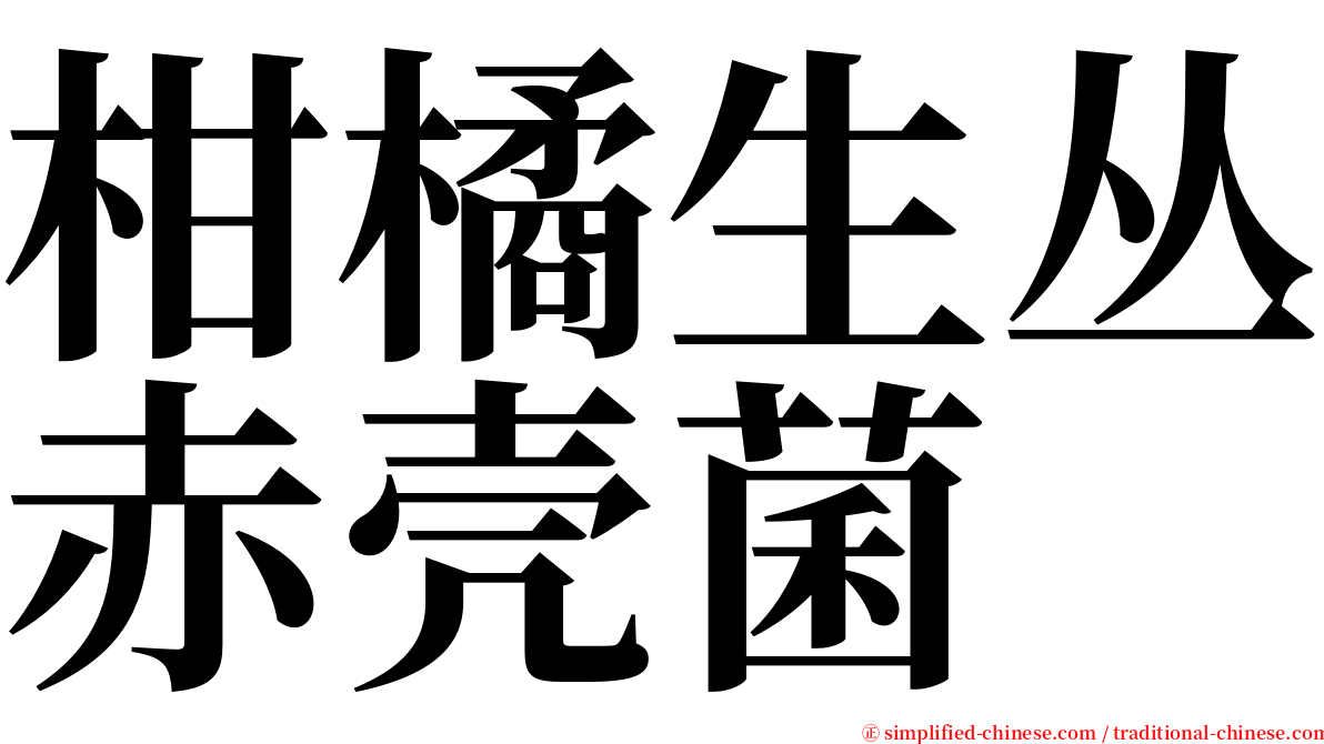 柑橘生丛赤壳菌 serif font