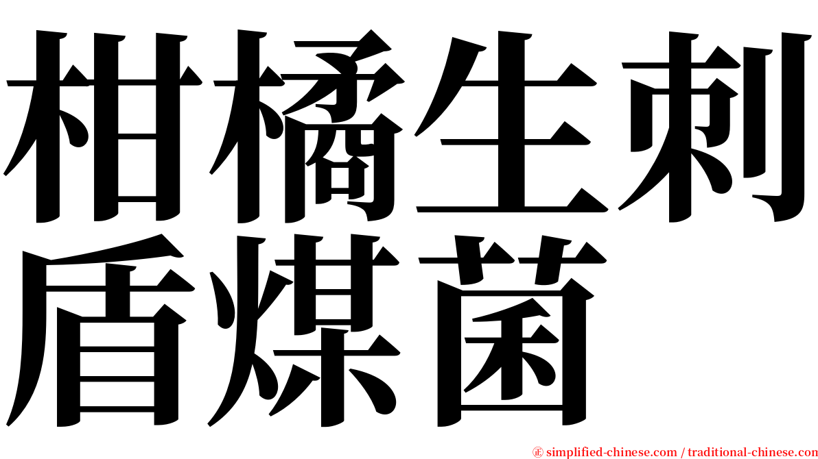 柑橘生刺盾煤菌 serif font