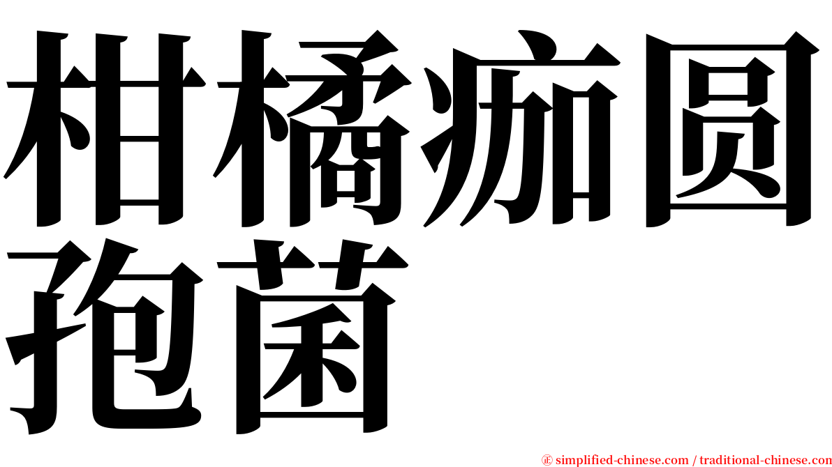 柑橘痂圆孢菌 serif font