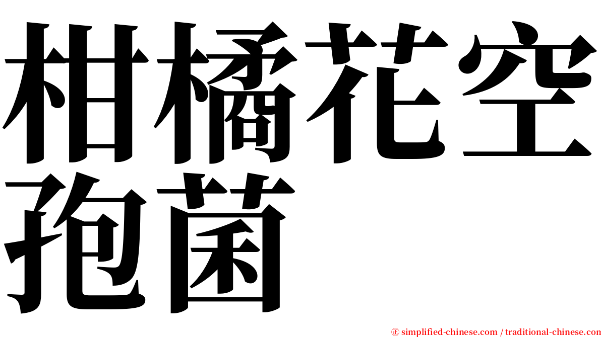 柑橘花空孢菌 serif font