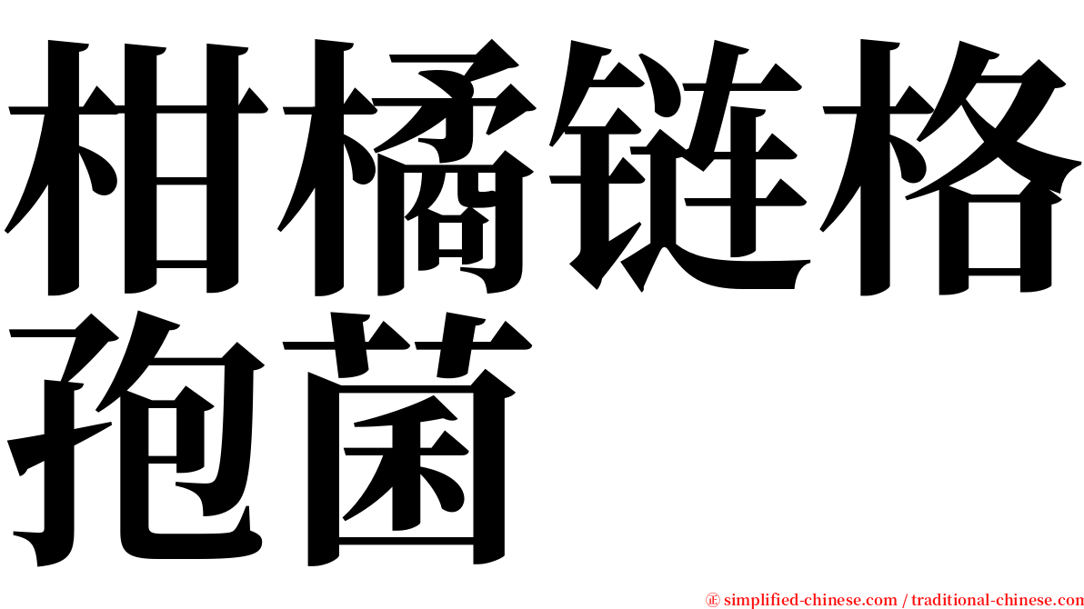 柑橘链格孢菌 serif font