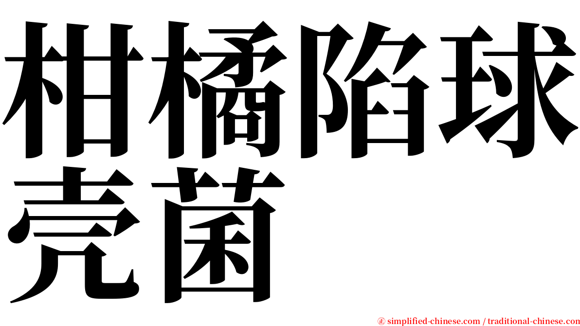 柑橘陷球壳菌 serif font