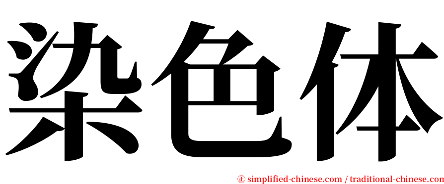 染色体 serif font