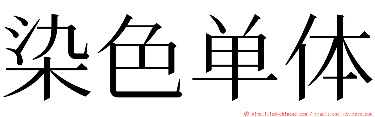 染色单体 ming font