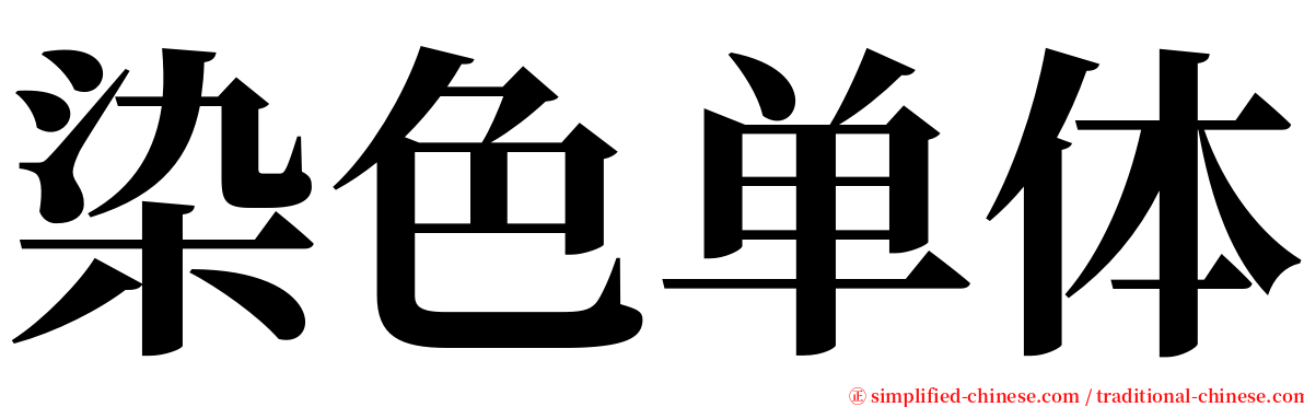 染色单体 serif font