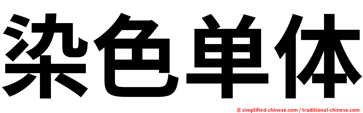 染色单体