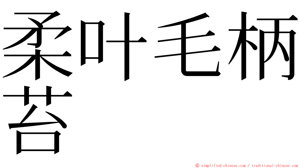 柔叶毛柄苔 ming font