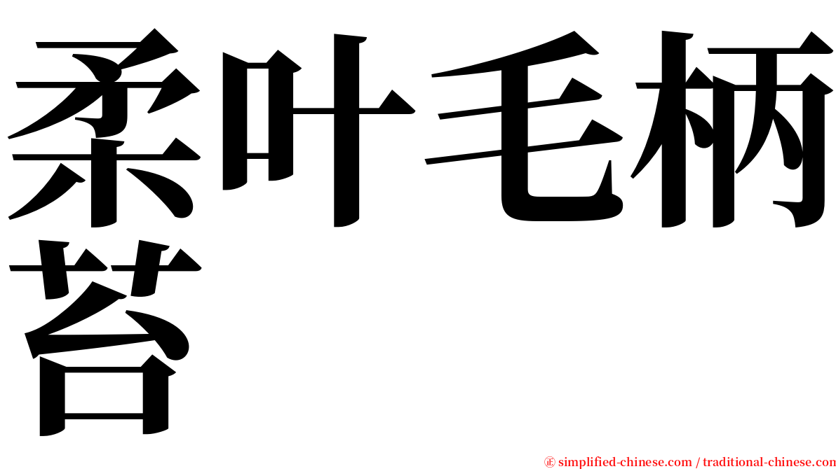 柔叶毛柄苔 serif font