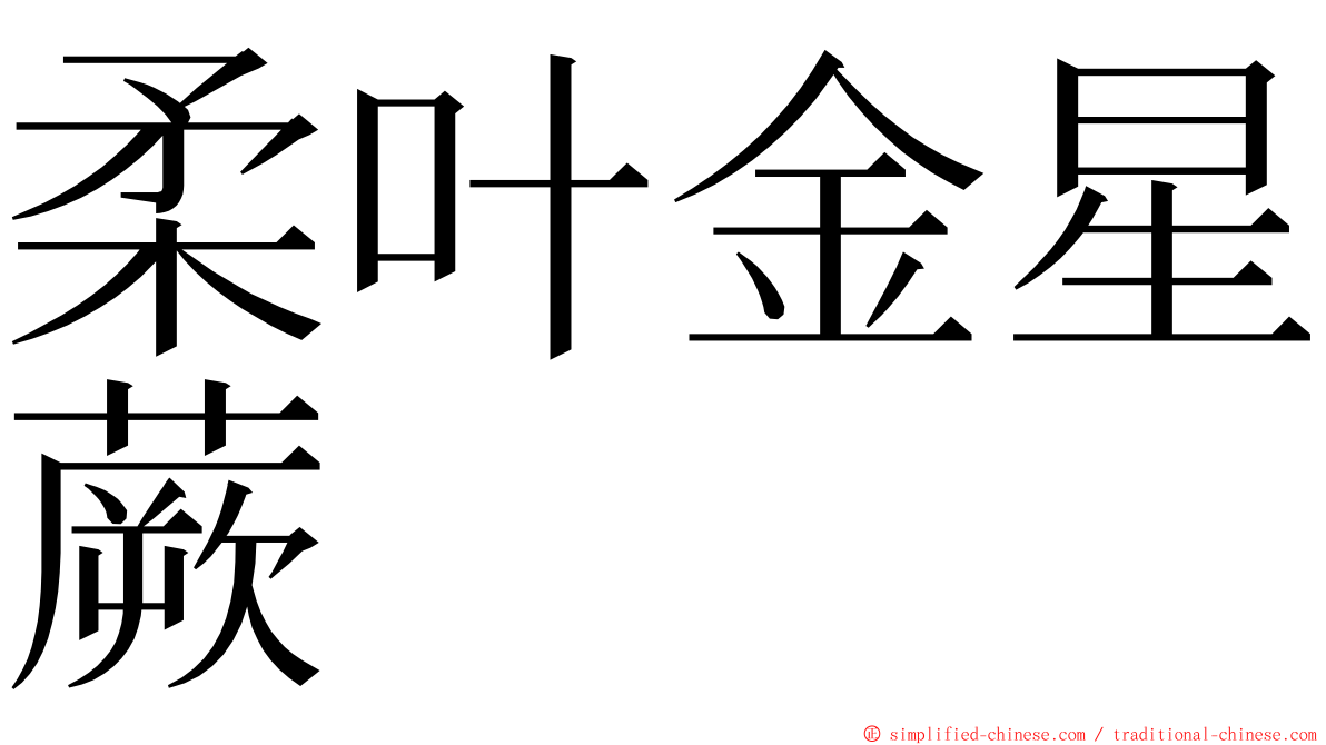 柔叶金星蕨 ming font