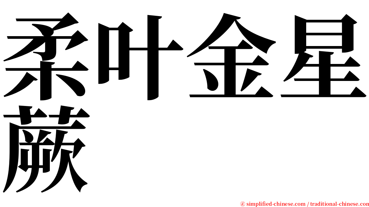 柔叶金星蕨 serif font