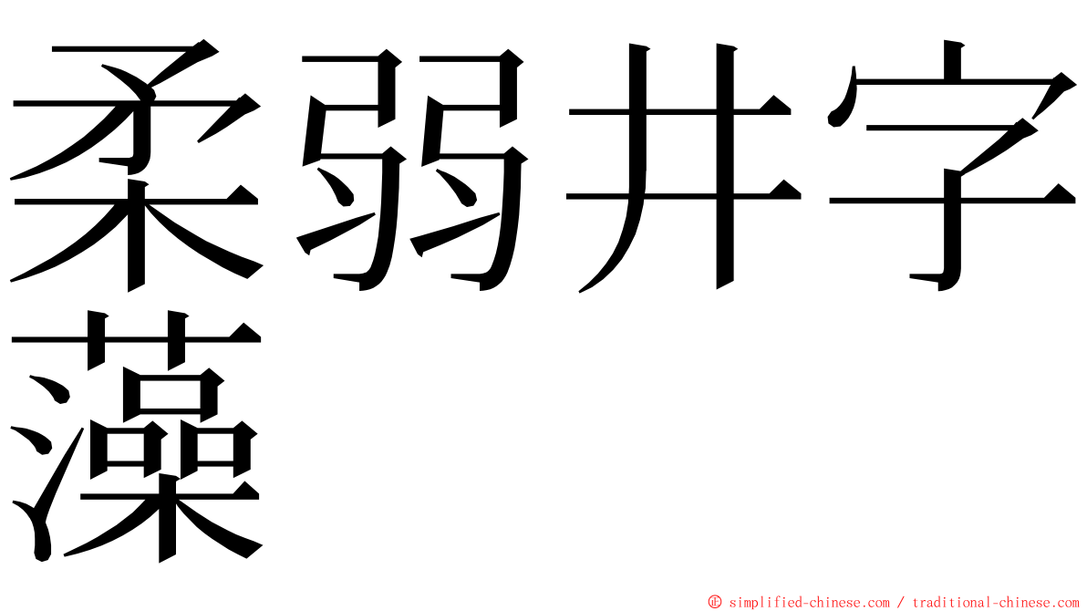 柔弱井字藻 ming font