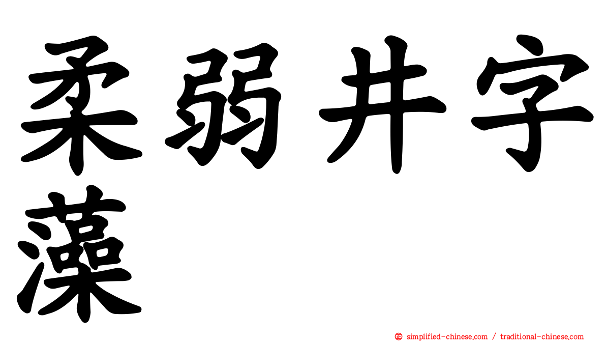 柔弱井字藻