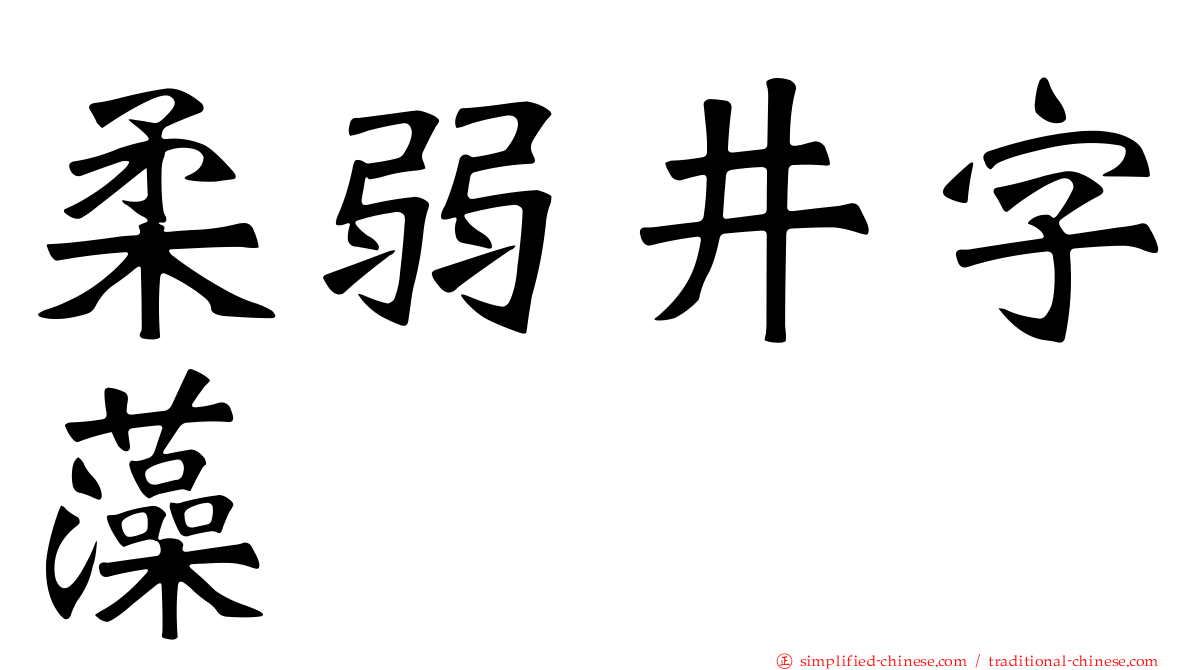 柔弱井字藻