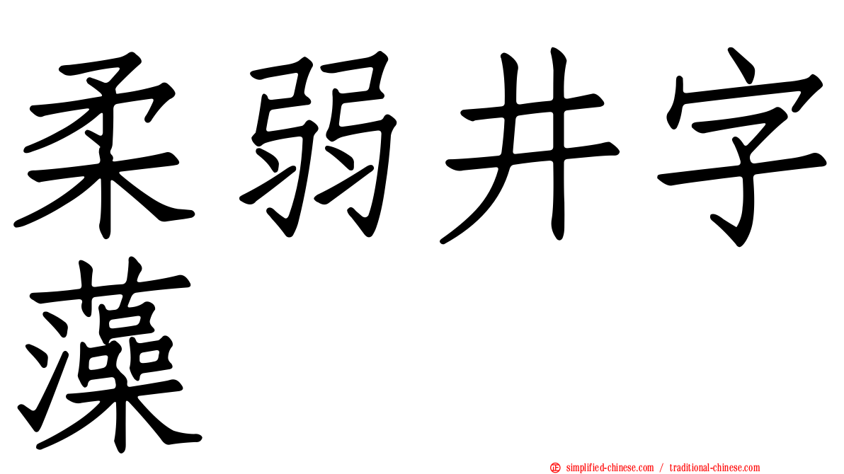 柔弱井字藻