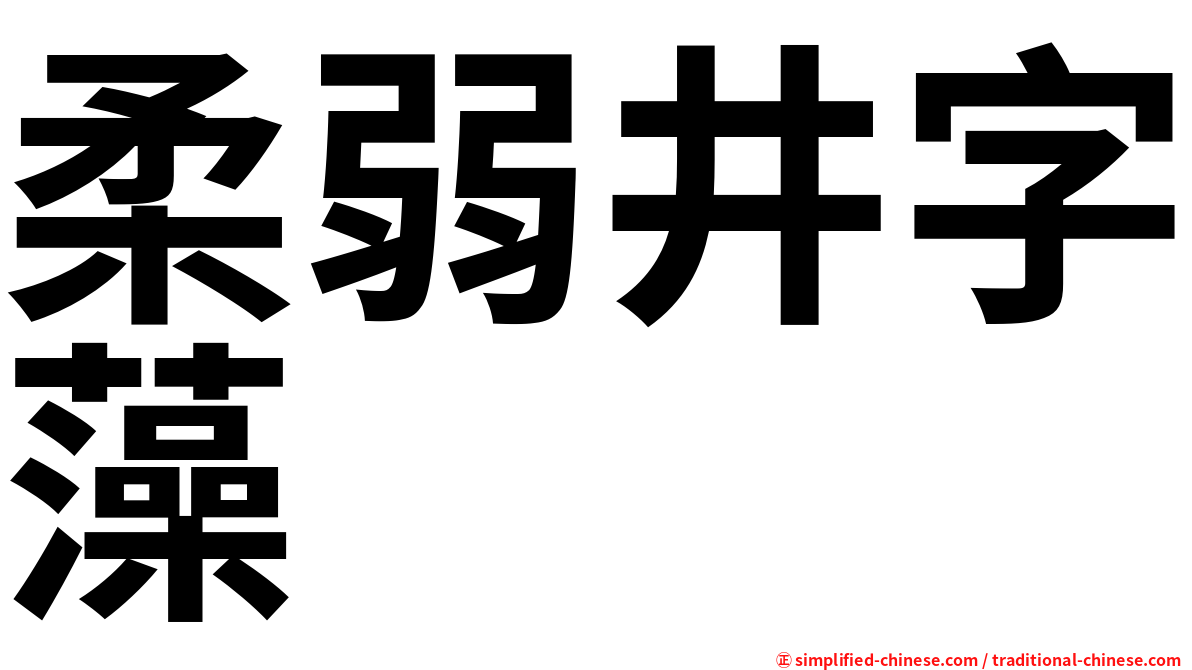 柔弱井字藻