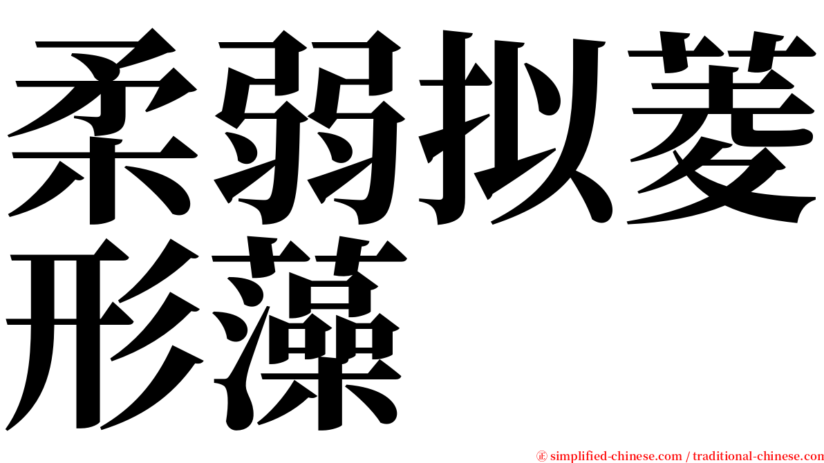 柔弱拟菱形藻 serif font