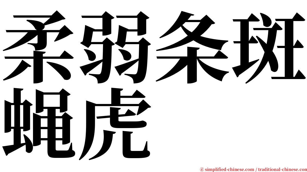 柔弱条斑蝇虎 serif font