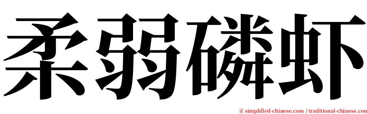 柔弱磷虾 serif font