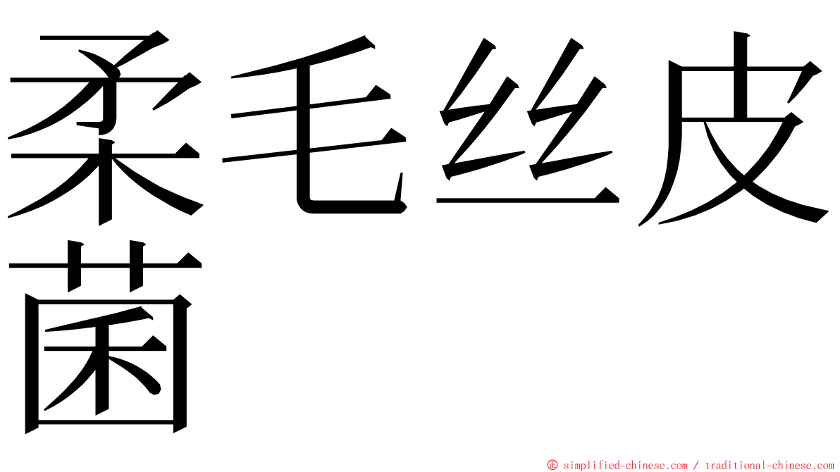 柔毛丝皮菌 ming font