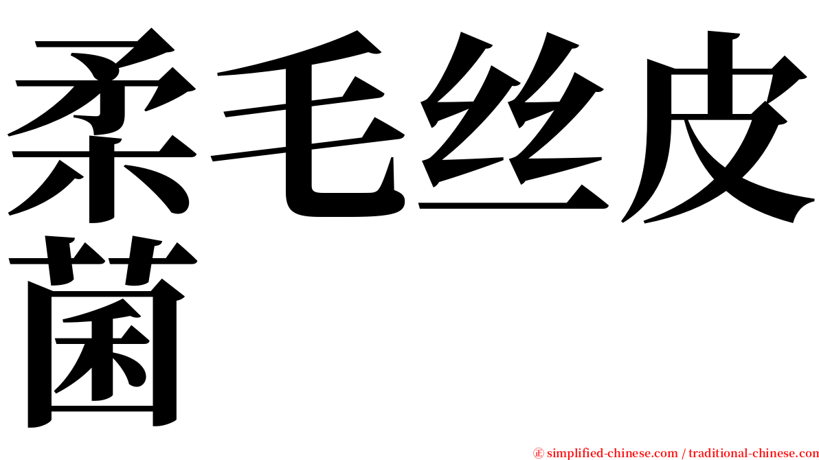 柔毛丝皮菌 serif font