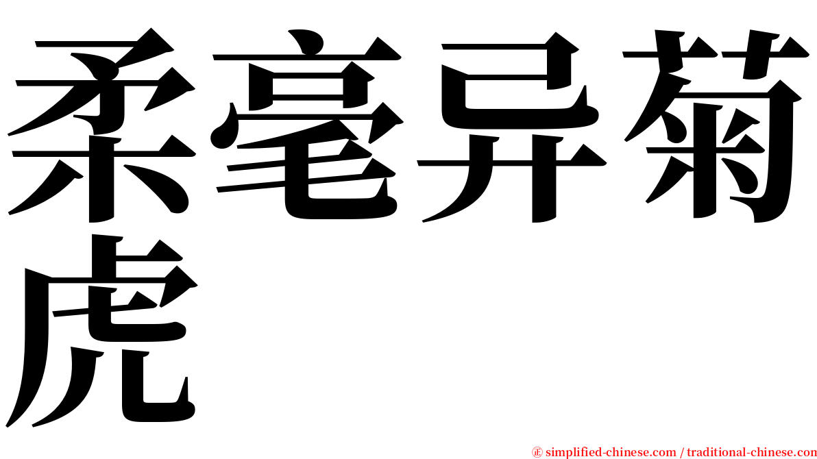 柔毫异菊虎 serif font