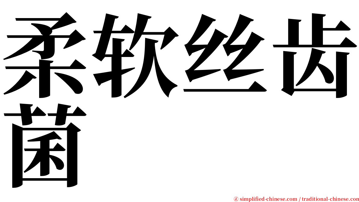 柔软丝齿菌 serif font