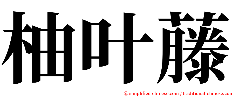 柚叶藤 serif font