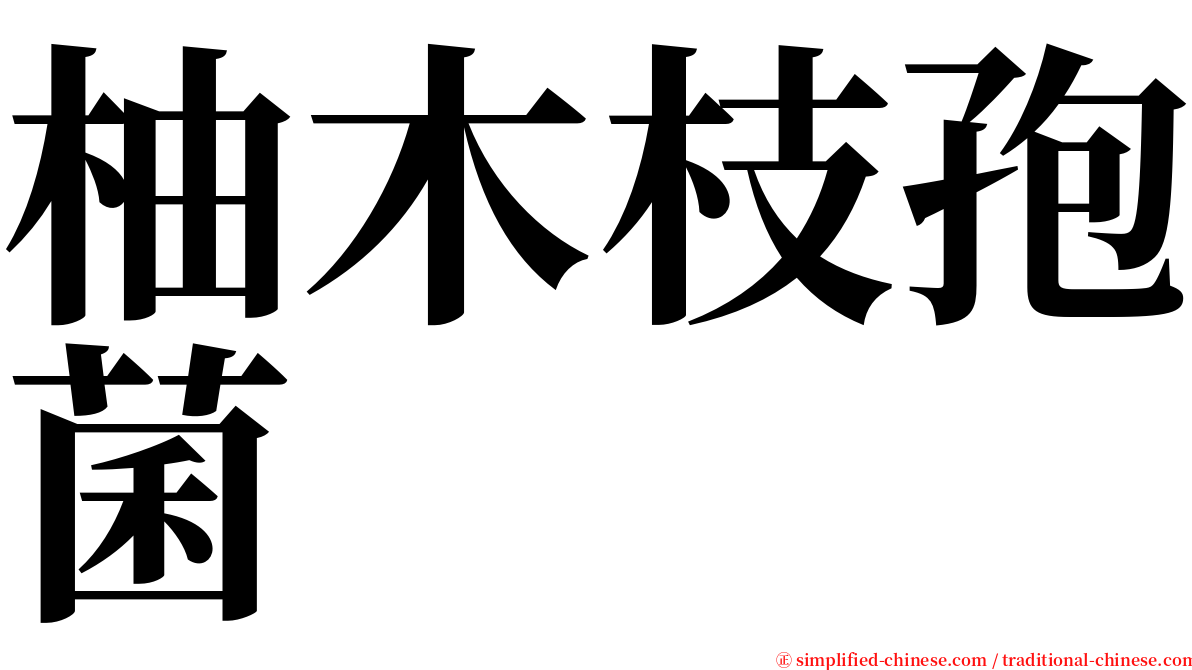 柚木枝孢菌 serif font