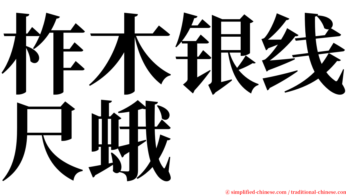 柞木银线尺蛾 serif font