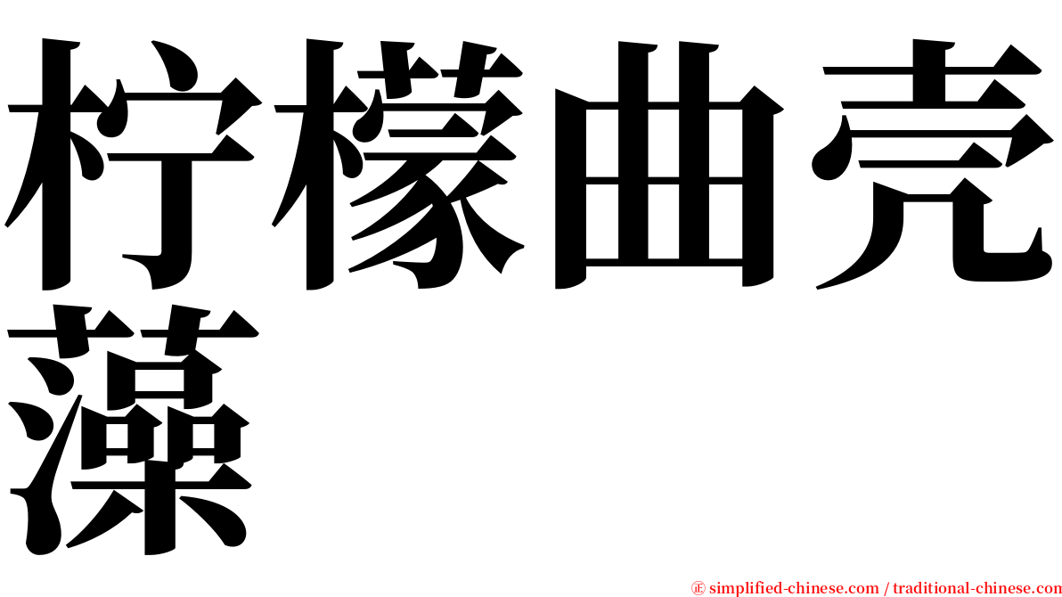 柠檬曲壳藻 serif font