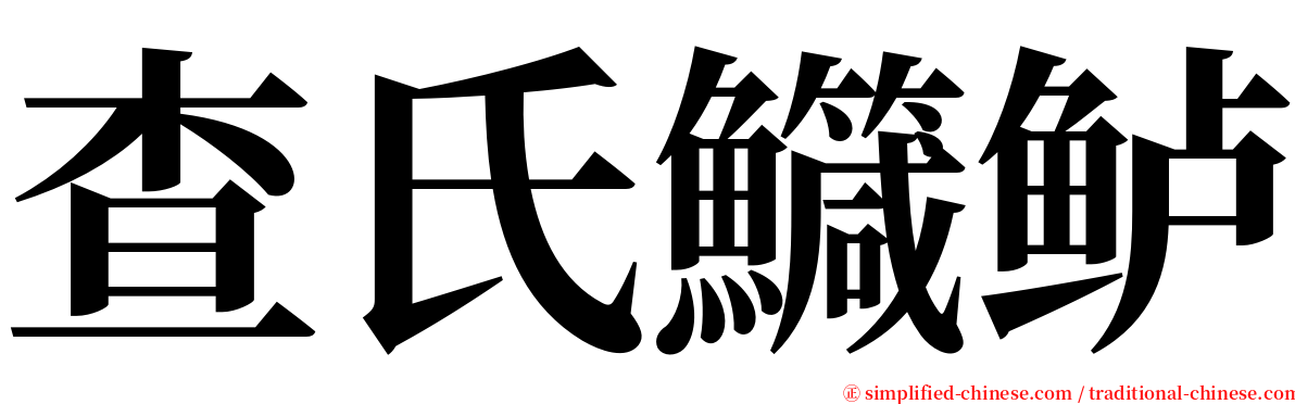 查氏鱵鲈 serif font