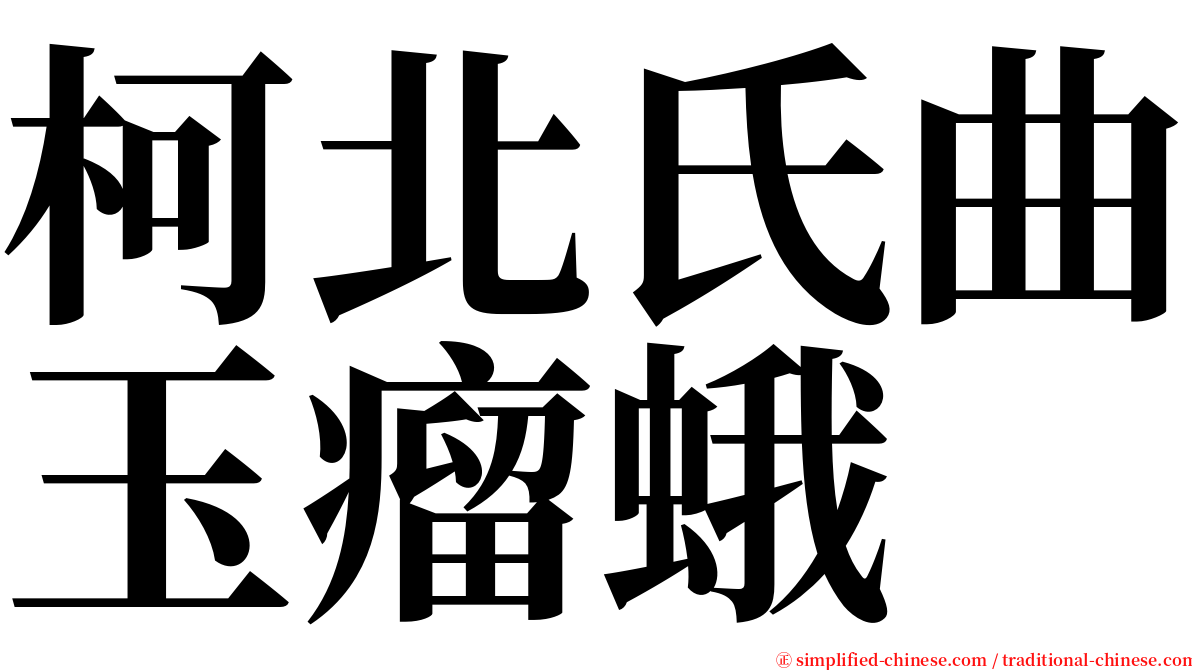 柯北氏曲玉瘤蛾 serif font