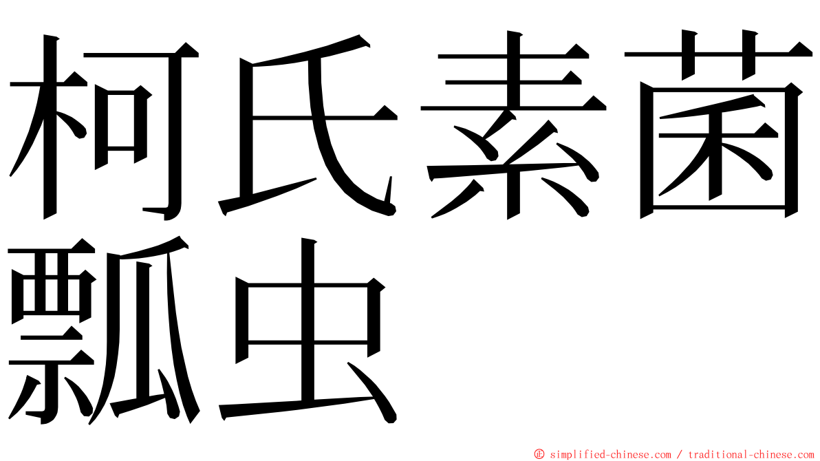 柯氏素菌瓢虫 ming font